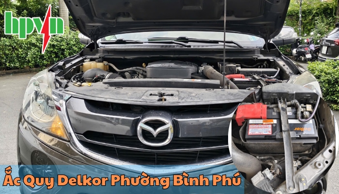 Cửa h&agrave;ng ắc quy Delkor phường B&igrave;nh Ph&uacute;